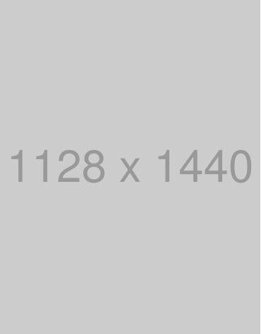 4_2063203704
